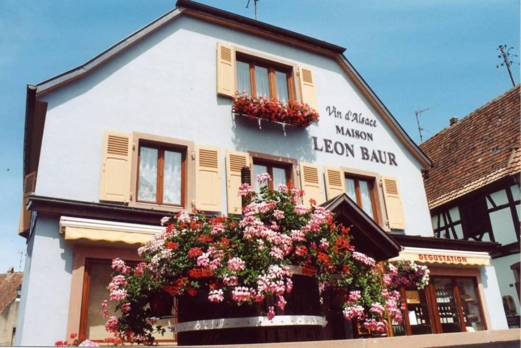 Villa Le Victoria A Eguisheim, 4-6 P, 3Etoiles Exterior foto